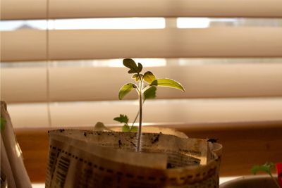 How to steer your organisation through the waves of growth?