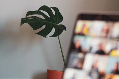 Offices are back in and hybrid is here to stay
