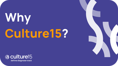 Why choose Culture15?
