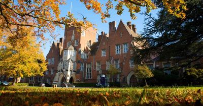 Ego and Leadership: Balancing Personal Drive with Organisational Needs